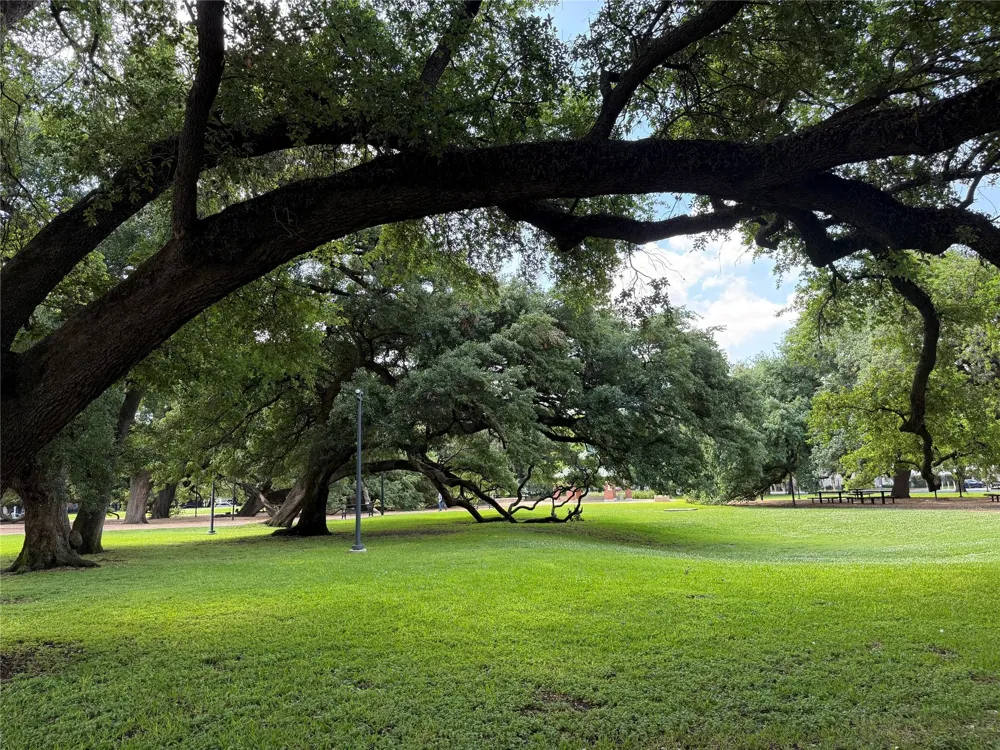 3218 Jackson Street Houston, TX 77004
