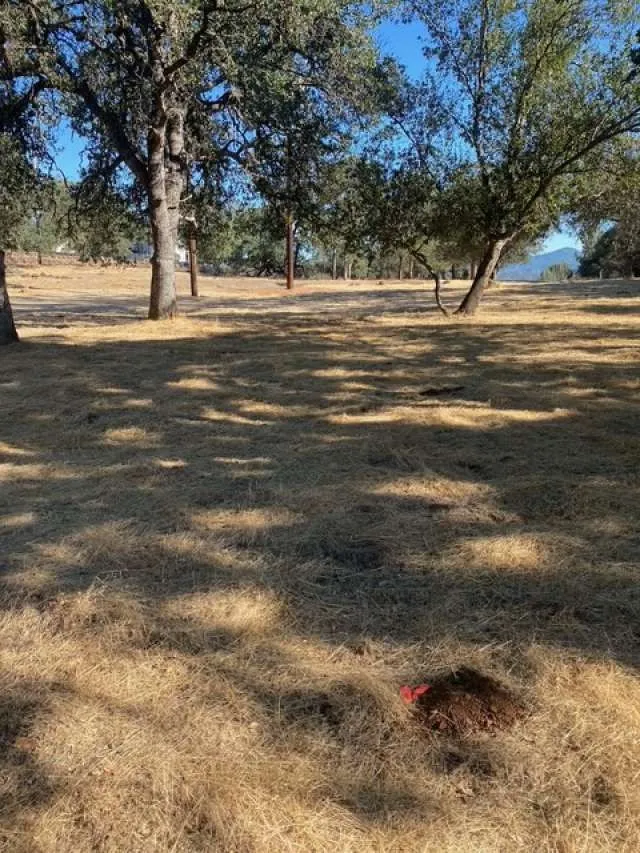 17426 Deer Hill Road Hidden Valley Lake, CA 95467