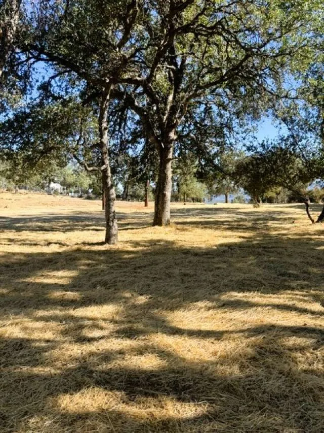 17426 Deer Hill Road Hidden Valley Lake, CA 95467