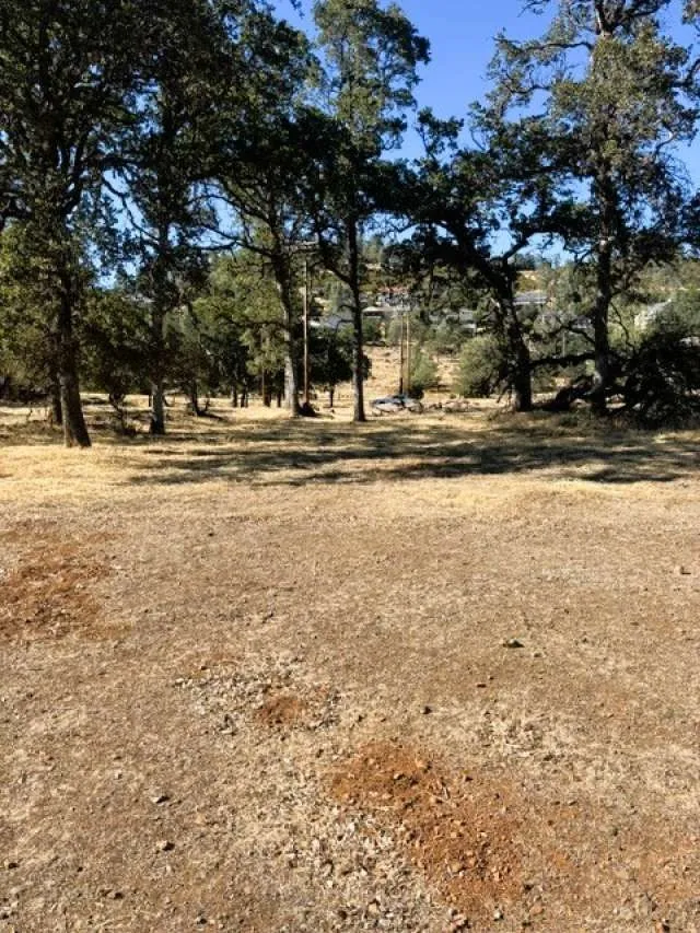 17426 Deer Hill Road Hidden Valley Lake, CA 95467