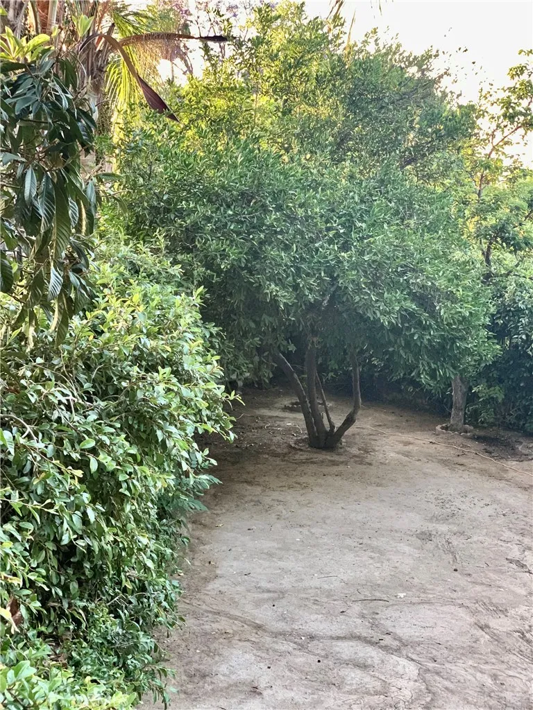 5246 Calderon Road Woodland Hills, CA 91364