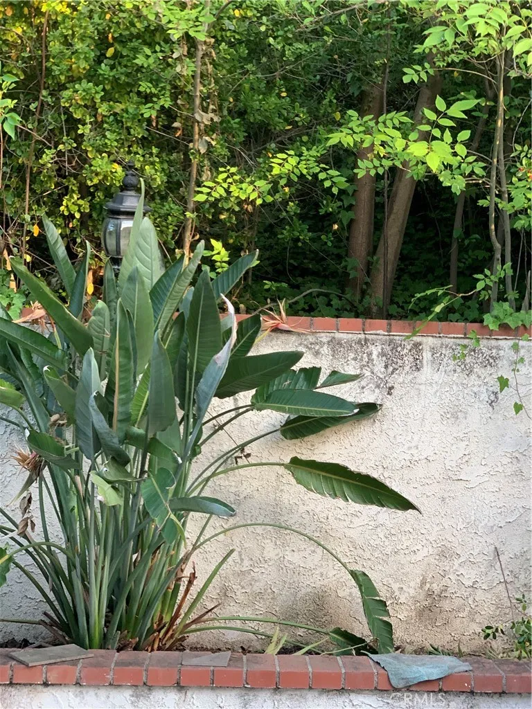 5246 Calderon Road Woodland Hills, CA 91364