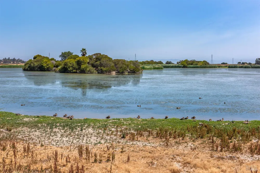1436 Buchanan Street Novato, CA 94947