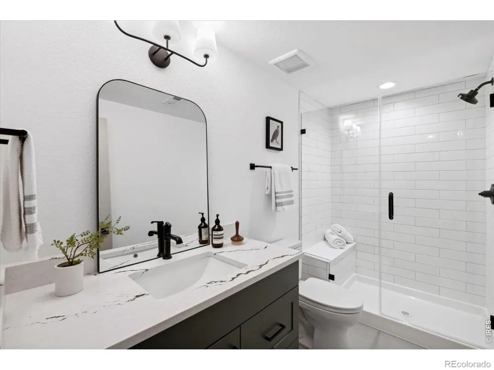 842 Clydesdale Drive Windsor, CO 80550