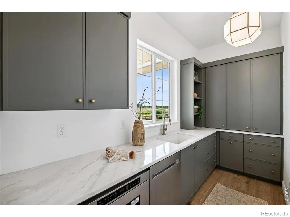 842 Clydesdale Drive Windsor, CO 80550