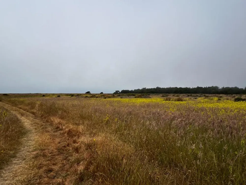 BEACH AVENUE Half Moon Bay, CA 94019