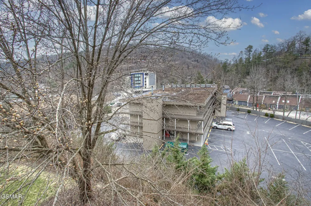 102 Baskins Creek Bypass #306 Gatlinburg, TN 37738
