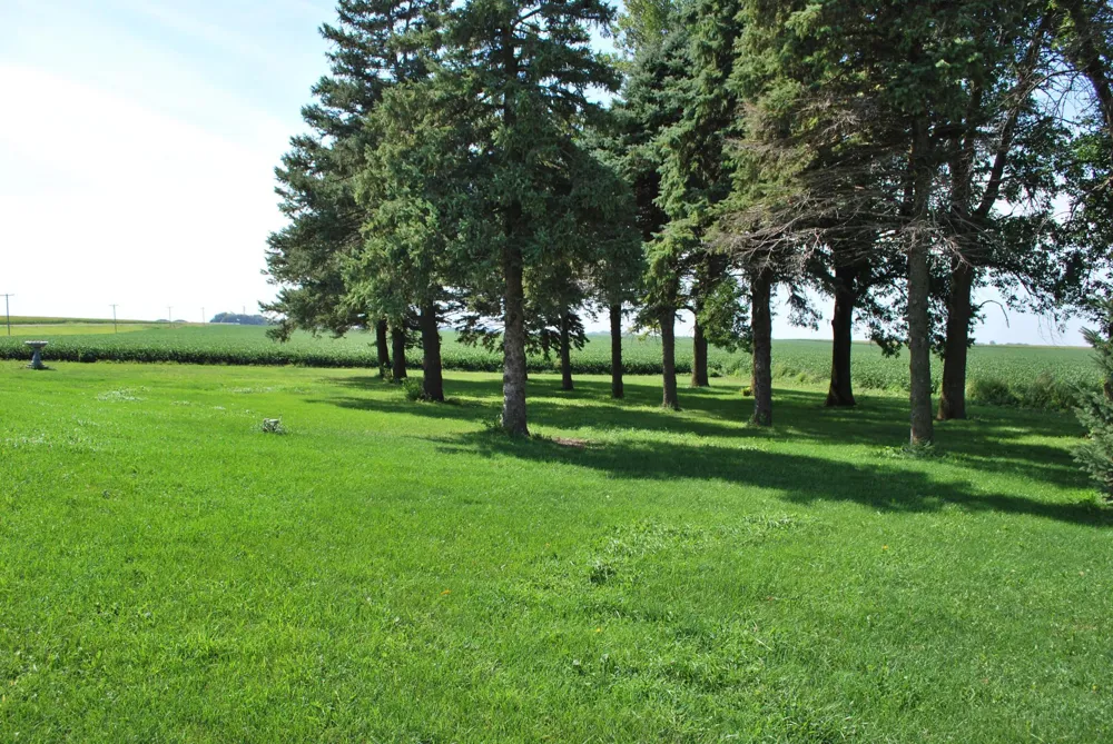 36237 State Highway 15 Lewisville, MN 56060