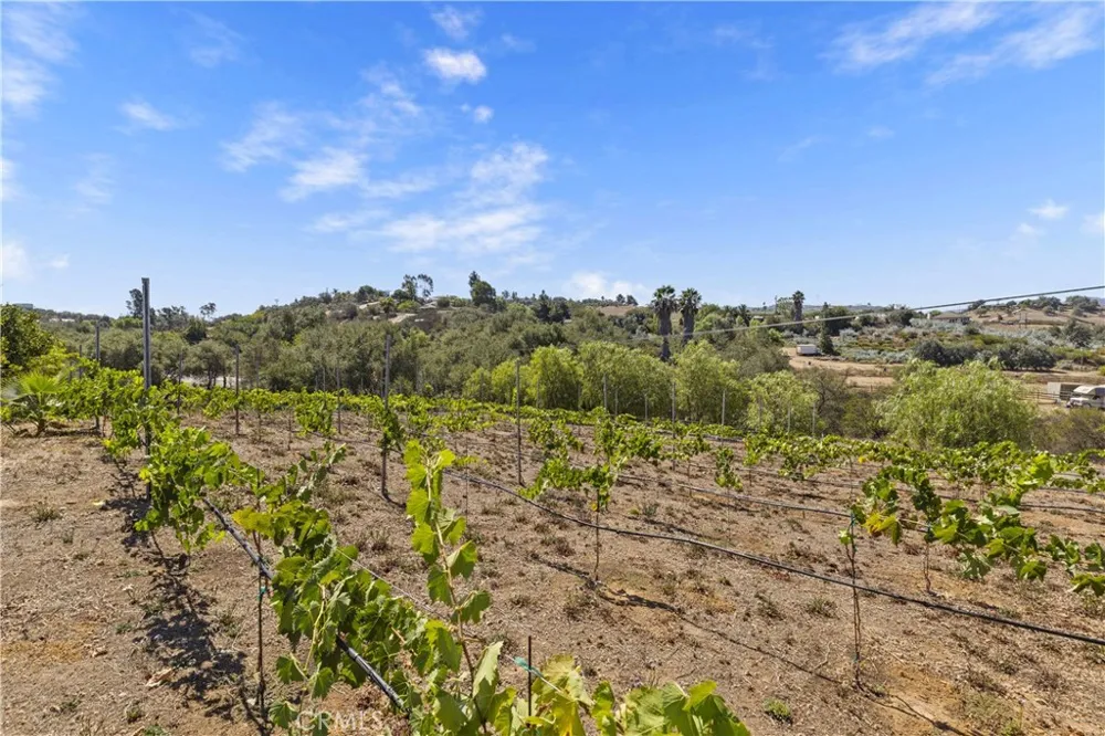 9914 W Lilac Road Escondido, CA 92026