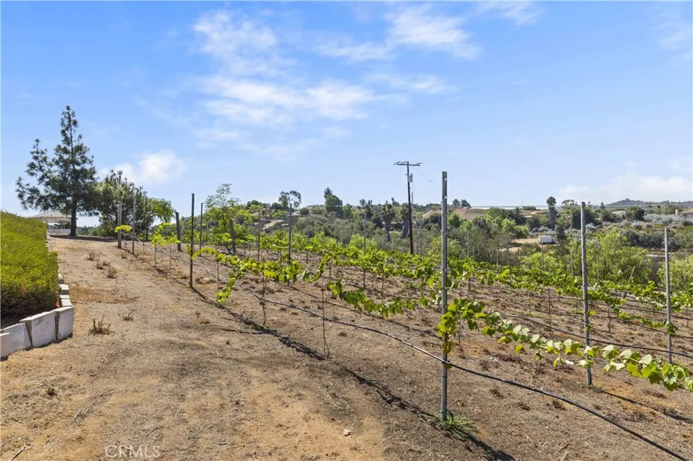 9914 W Lilac Road Escondido, CA 92026
