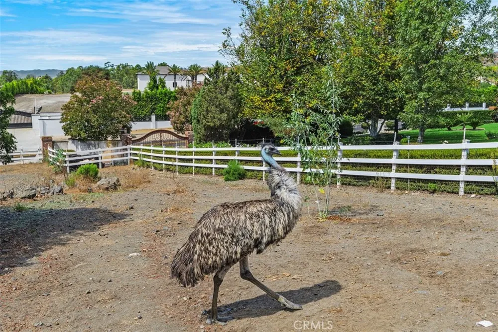 27777 Sycamore Mesa Rd. Temecula, CA 92590