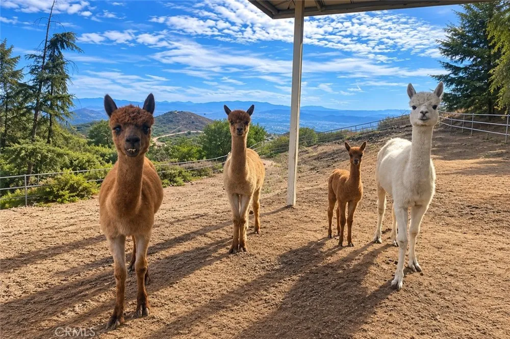 27777 Sycamore Mesa Rd. Temecula, CA 92590