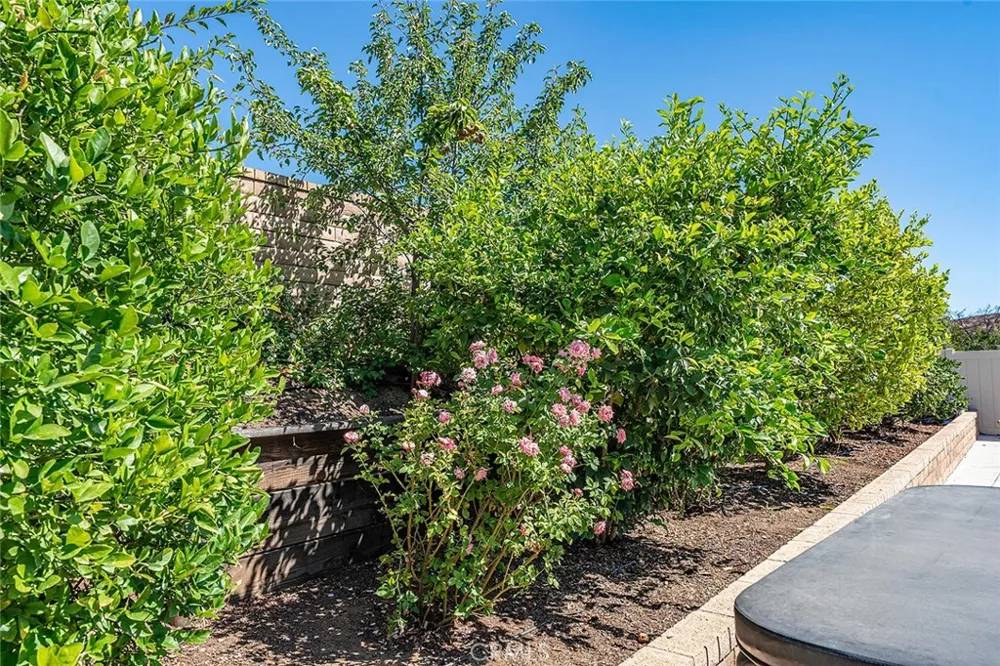 35530 Birchbrook Winchester, CA 92596