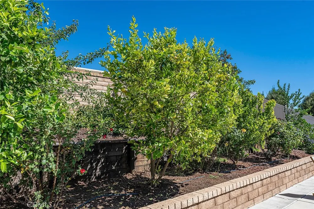 35530 Birchbrook Winchester, CA 92596
