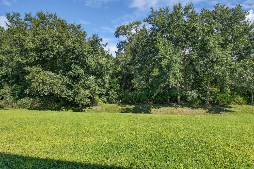 467 OSPREY LAKES CIRCLE Chuluota, FL 32766