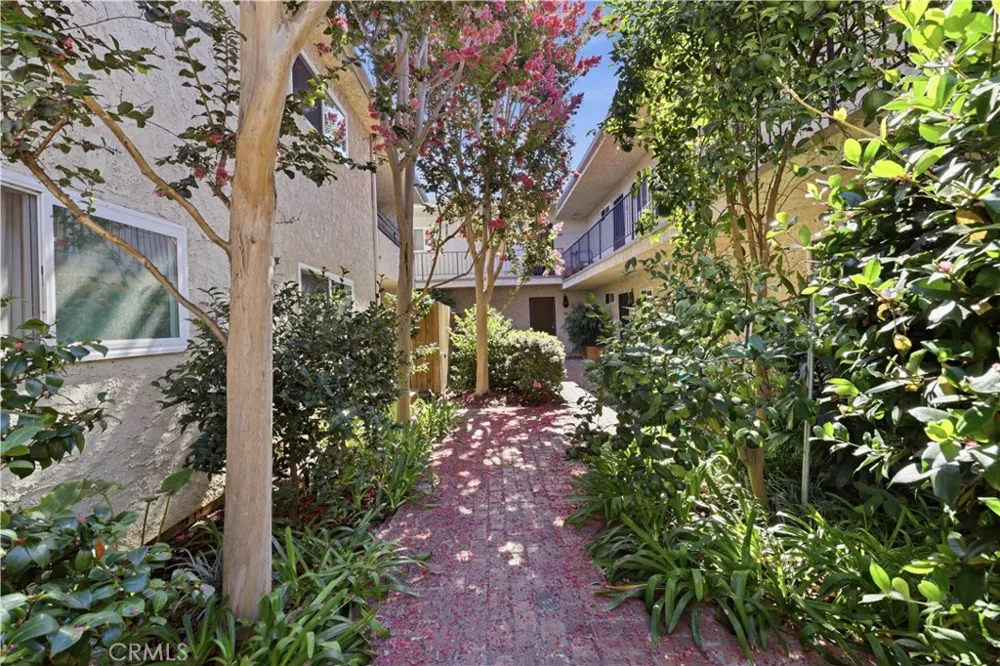 11550 Nebraska Avenue #204 Los Angeles, CA 90025