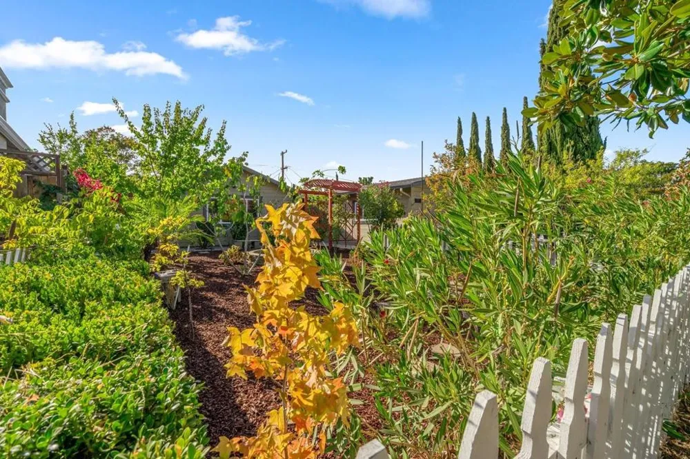 3219 Leigh Avenue San Jose, CA 95124