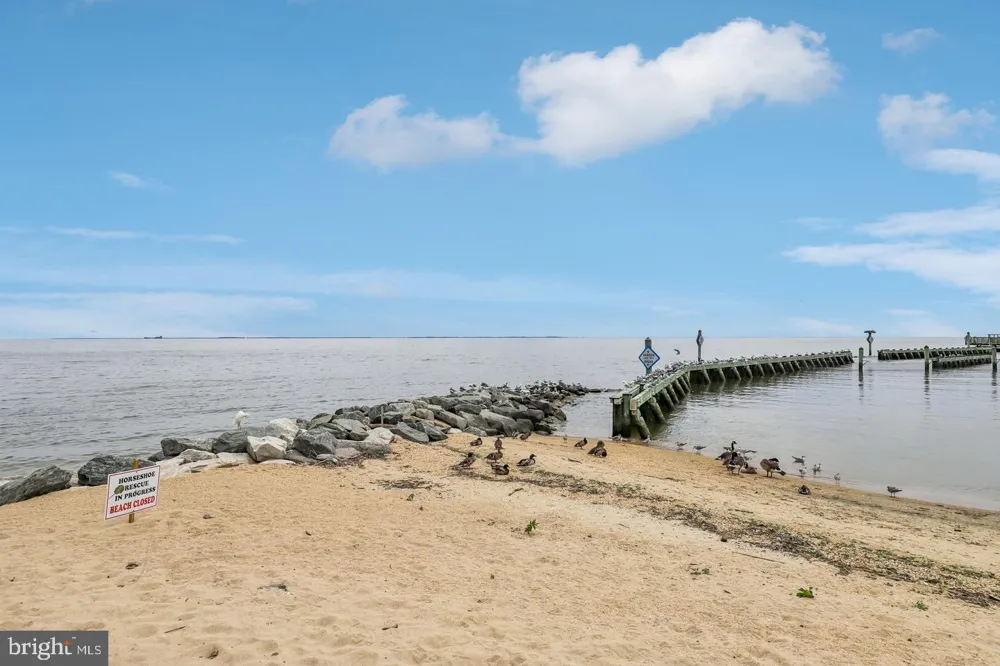 2425 HARRISON COURT Chesapeake Beach, MD 20732
