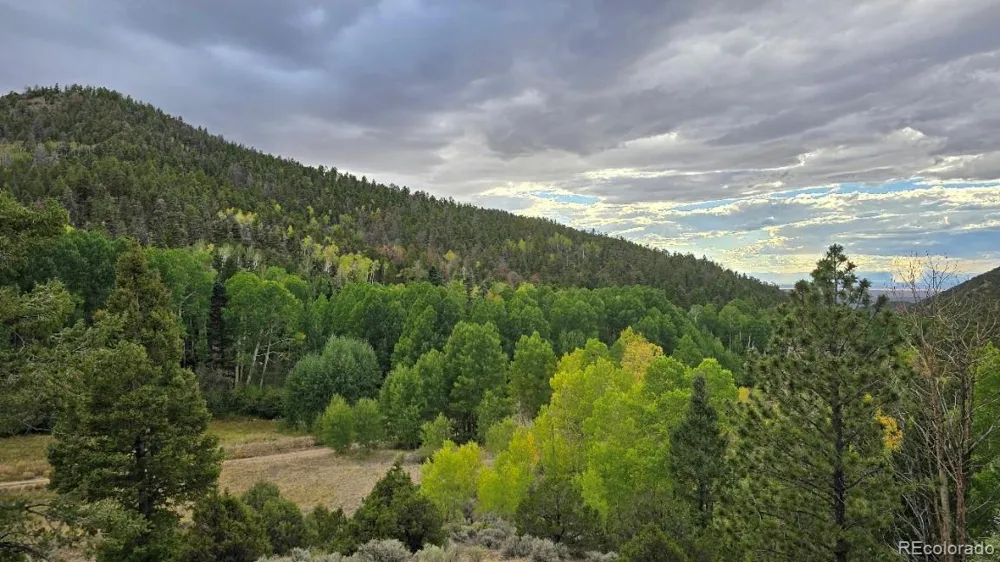 5520 Bateman Road Fort Garland, CO 81133