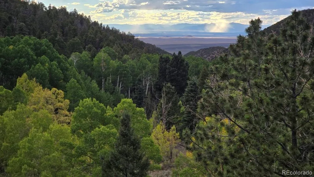 5520 Bateman Road Fort Garland, CO 81133