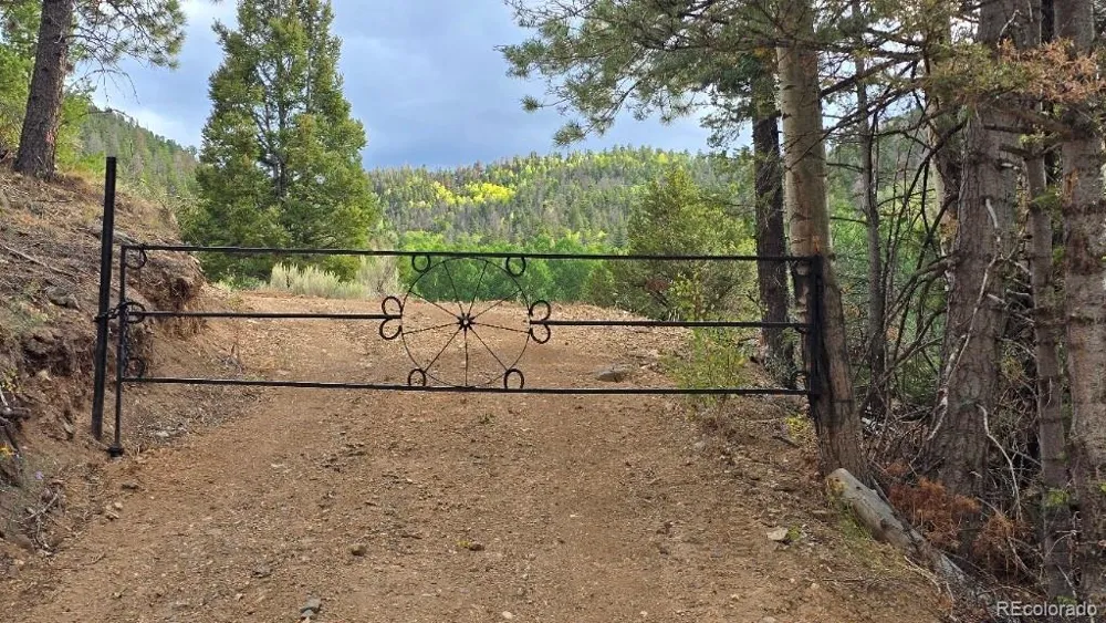 5520 Bateman Road Fort Garland, CO 81133