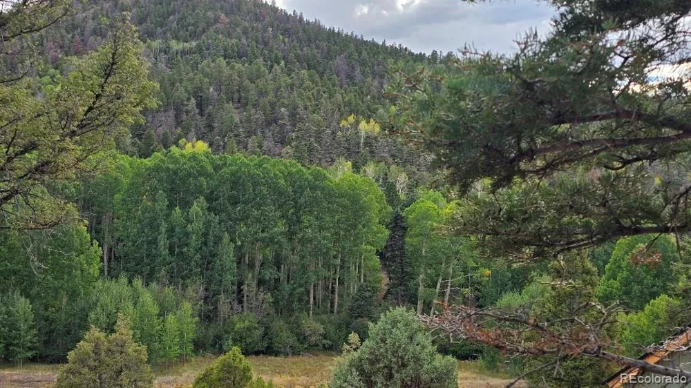 5520 Bateman Road Fort Garland, CO 81133