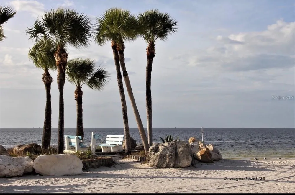 3915 HEADSAIL DRIVE New Port Richey, FL 34652