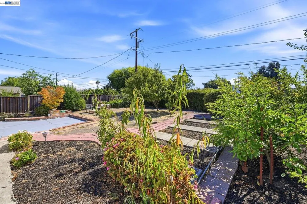 41441 Paseo Padre Pkwy Fremont, CA 94539
