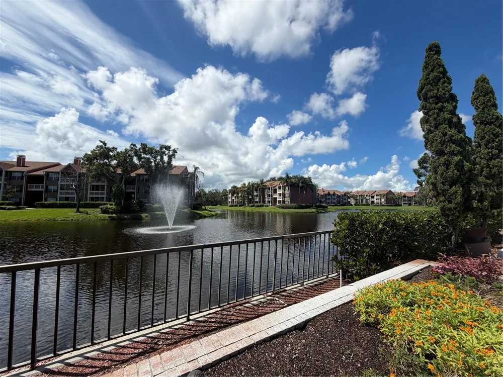 10200 GANDY BOULEVARD #923 St Petersburg, FL 33702