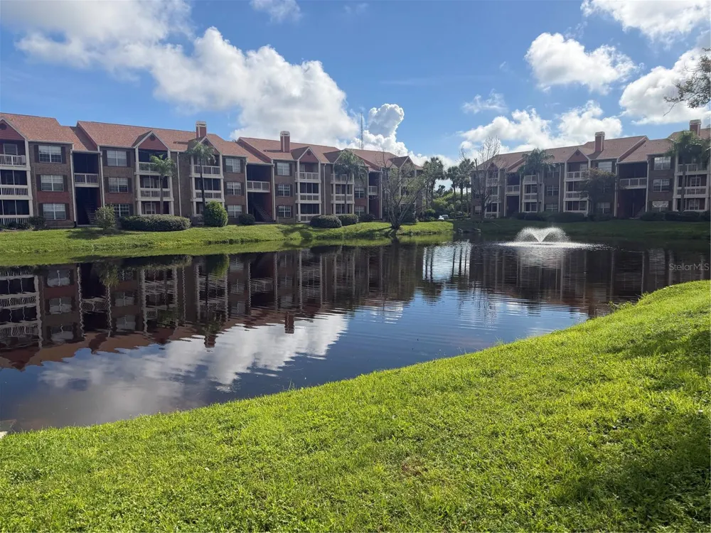 10200 GANDY BOULEVARD #923 St Petersburg, FL 33702