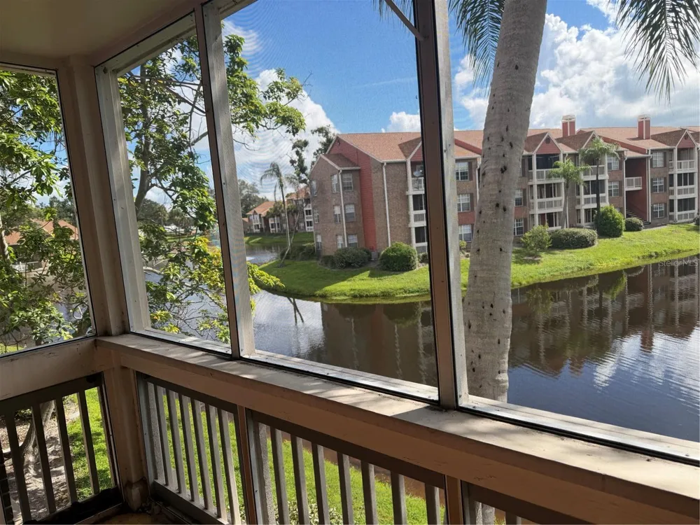 10200 GANDY BOULEVARD #923 St Petersburg, FL 33702