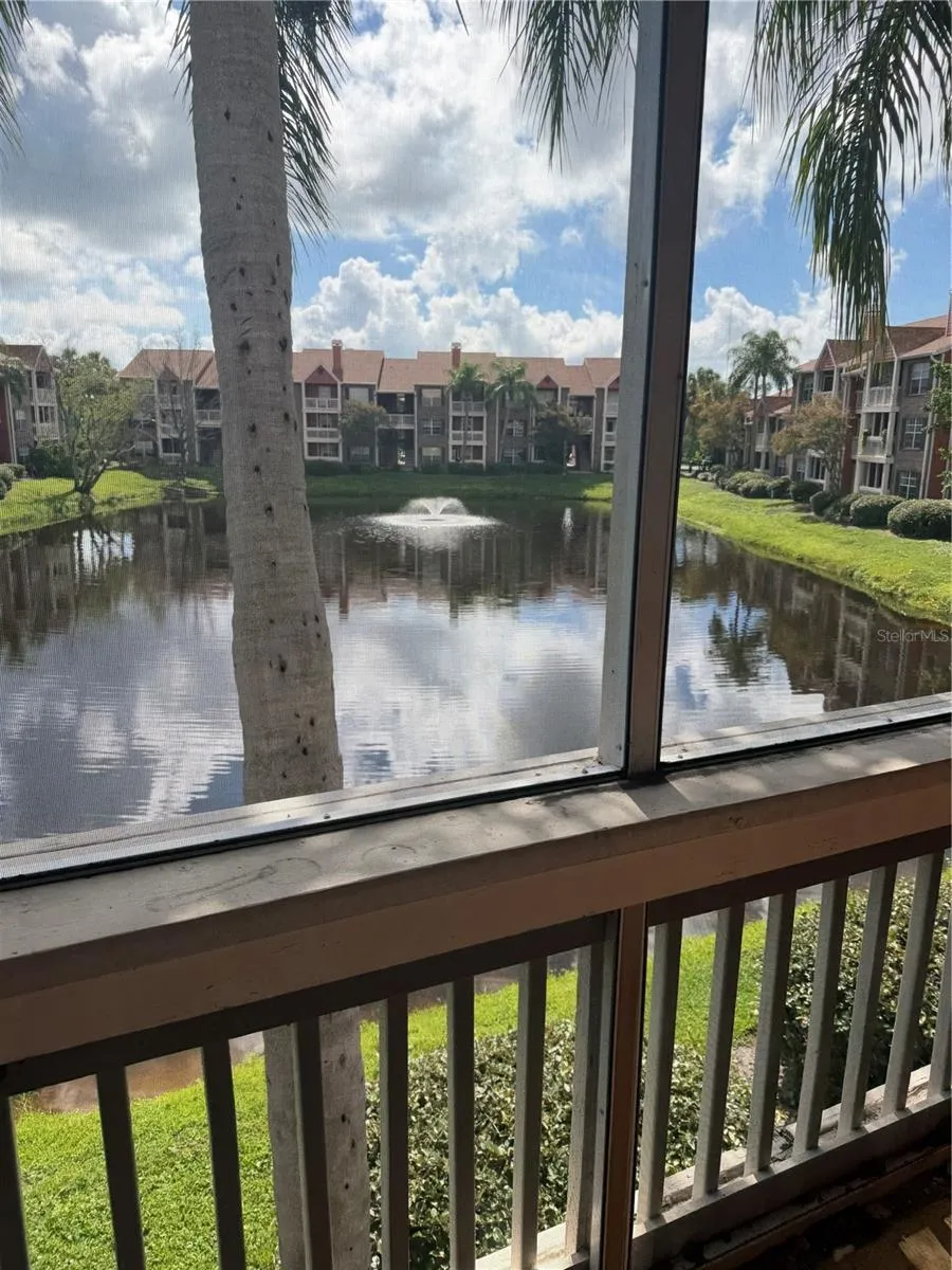 10200 GANDY BOULEVARD #923 St Petersburg, FL 33702