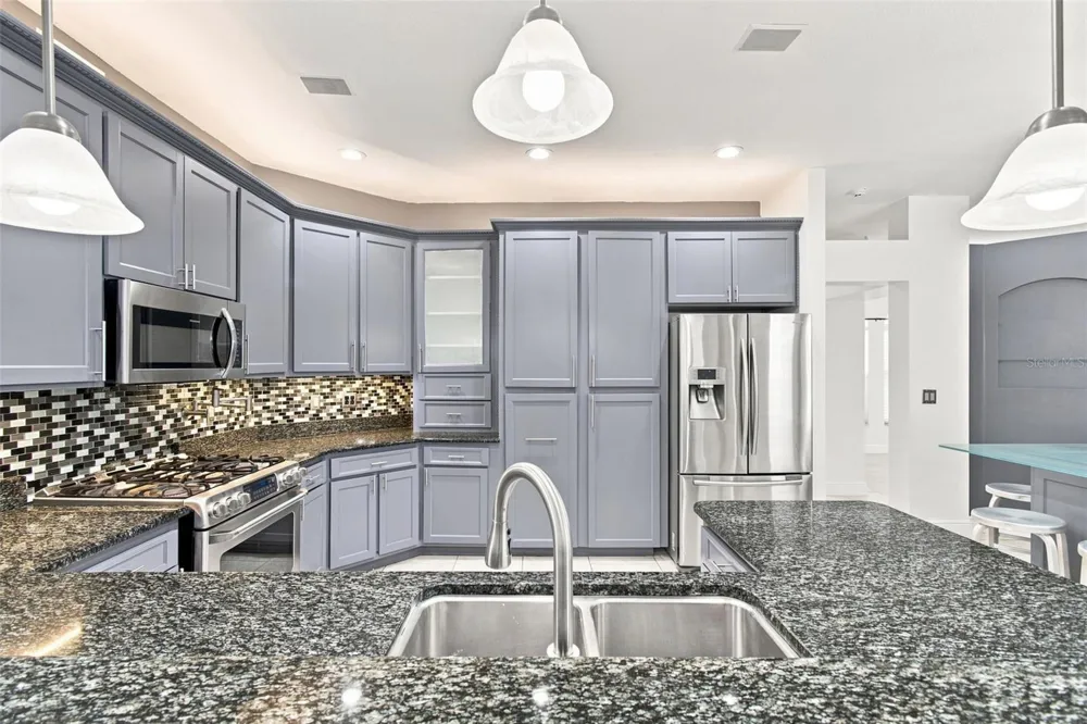 1512 CROOKED STICK DRIVE Valrico, FL 33596