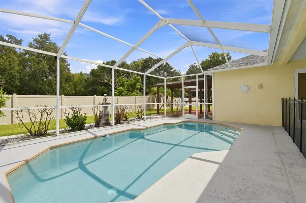 1512 CROOKED STICK DRIVE Valrico, FL 33596