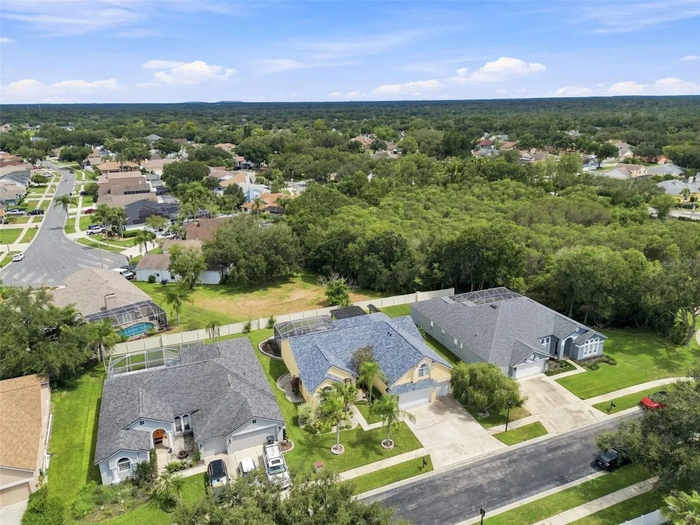1512 CROOKED STICK DRIVE Valrico, FL 33596