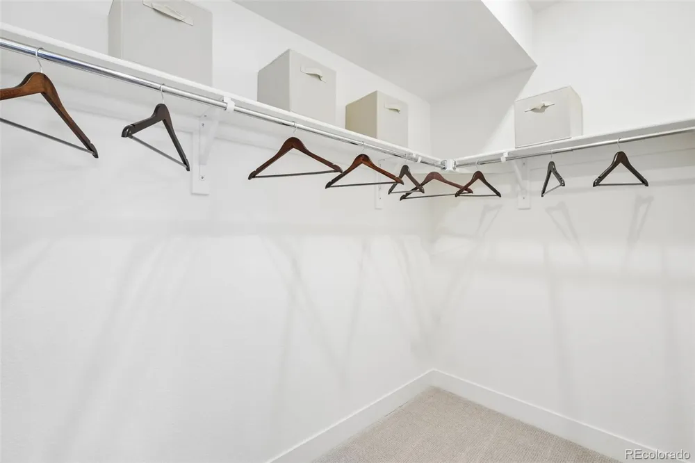 13280 Finnhorse Street Parker, CO 80134