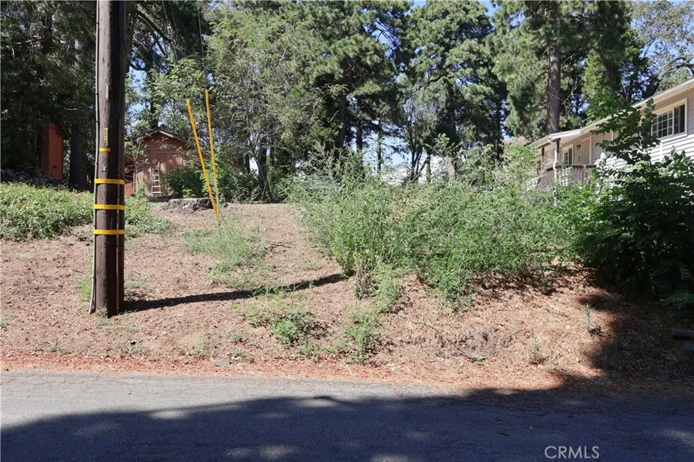 Valley View Drive Crestline, CA 92325