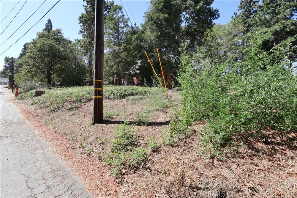 Valley View Drive Crestline, CA 92325