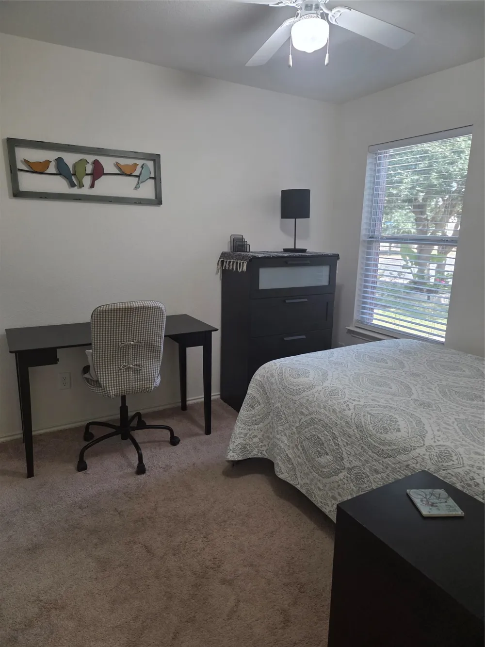2408 McCook Drive Georgetown, TX 78626
