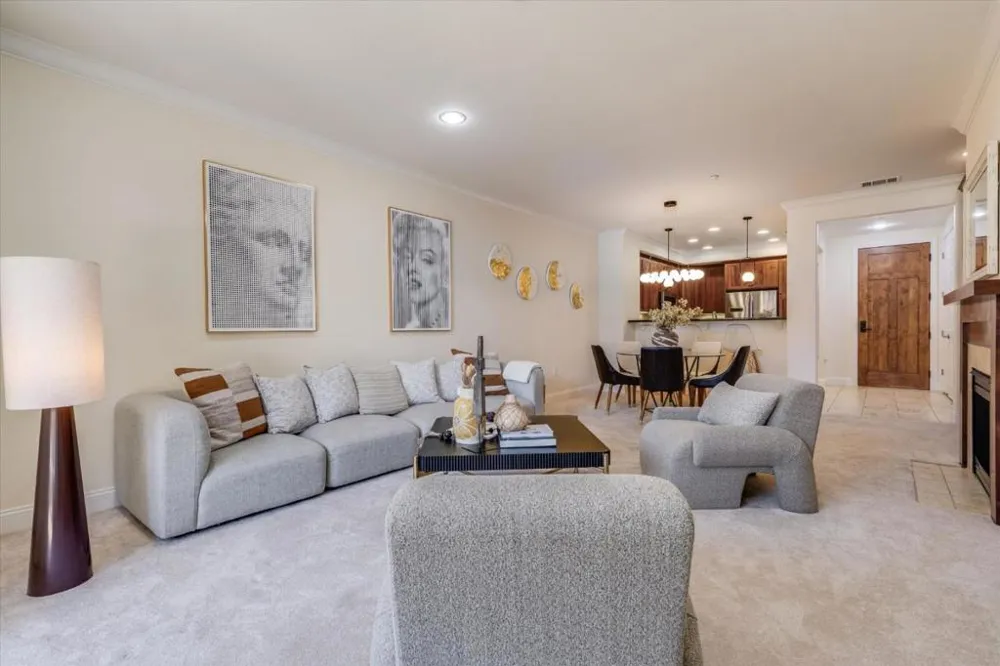 2881 Meridian Avenue #249 San Jose, CA 95124