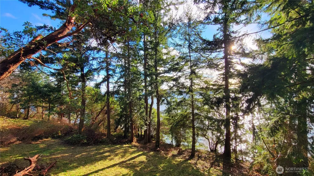 2110 Gull Way Camano Island, WA 98282