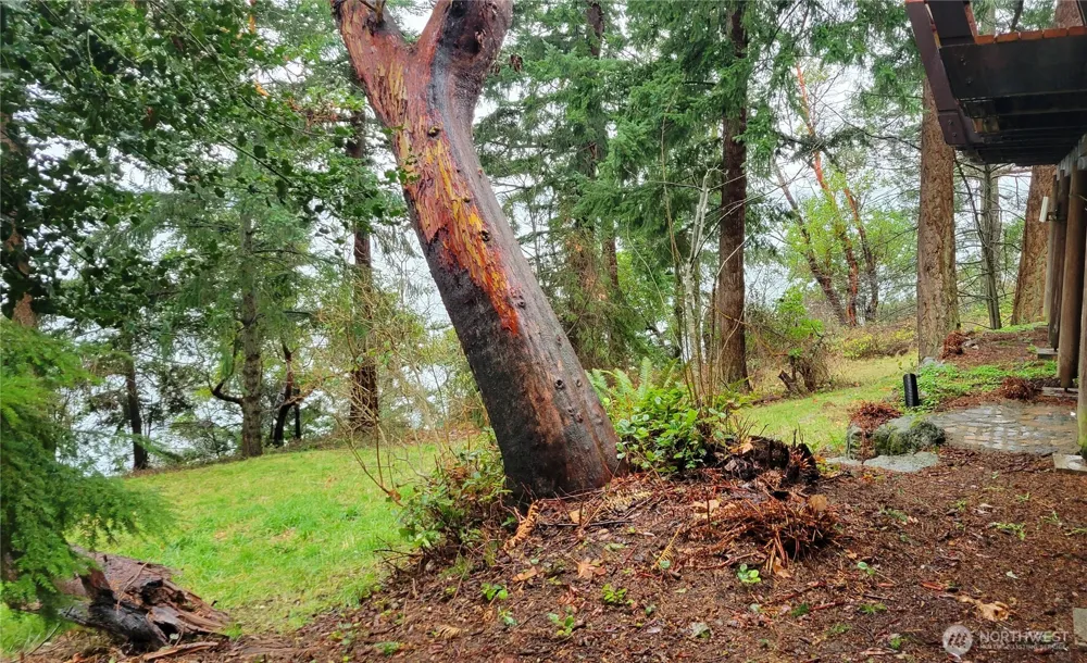 2110 Gull Way Camano Island, WA 98282