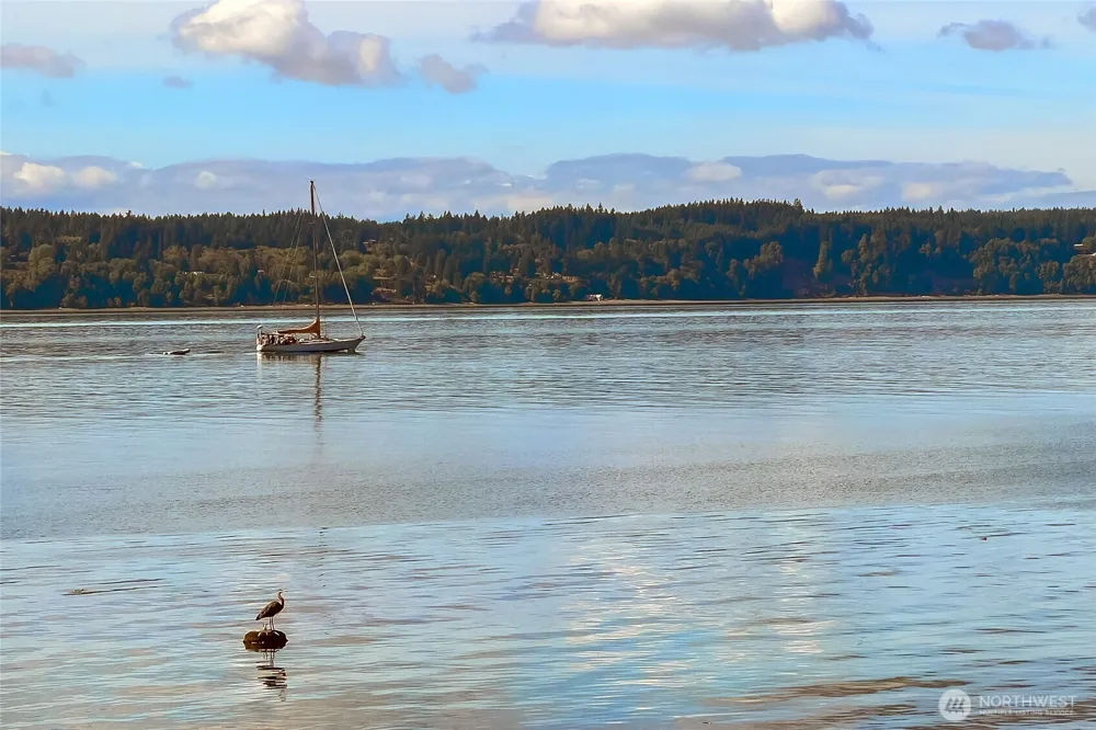2110 Gull Way Camano Island, WA 98282