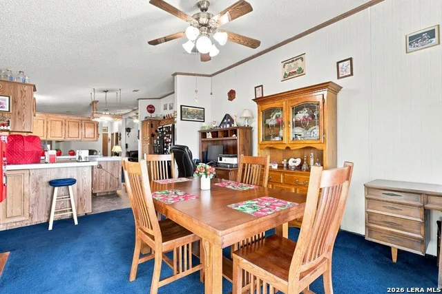 775 WARNCKE RD La Vernia, TX 78121