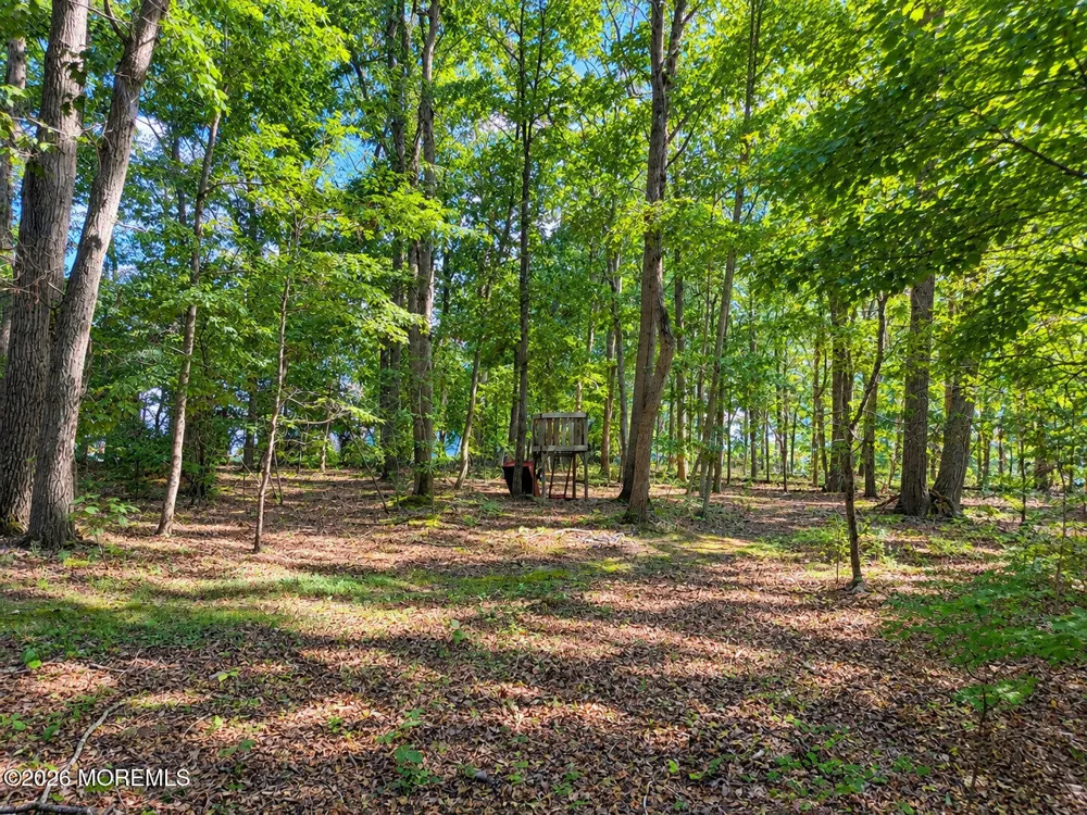 3138 County Rte 547 Manchester, NJ 08759