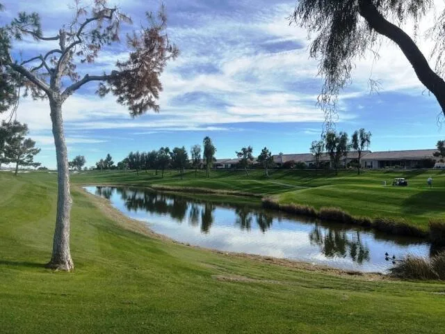 80818 Camino Santa Elise Indio, CA 92203
