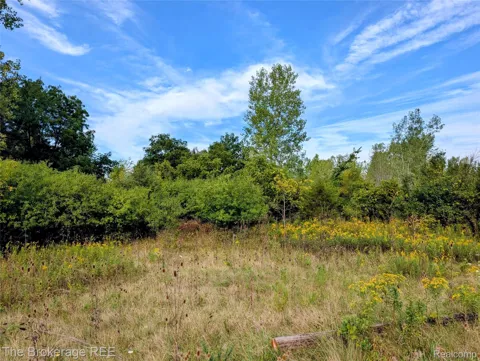 8064 Fenton Road