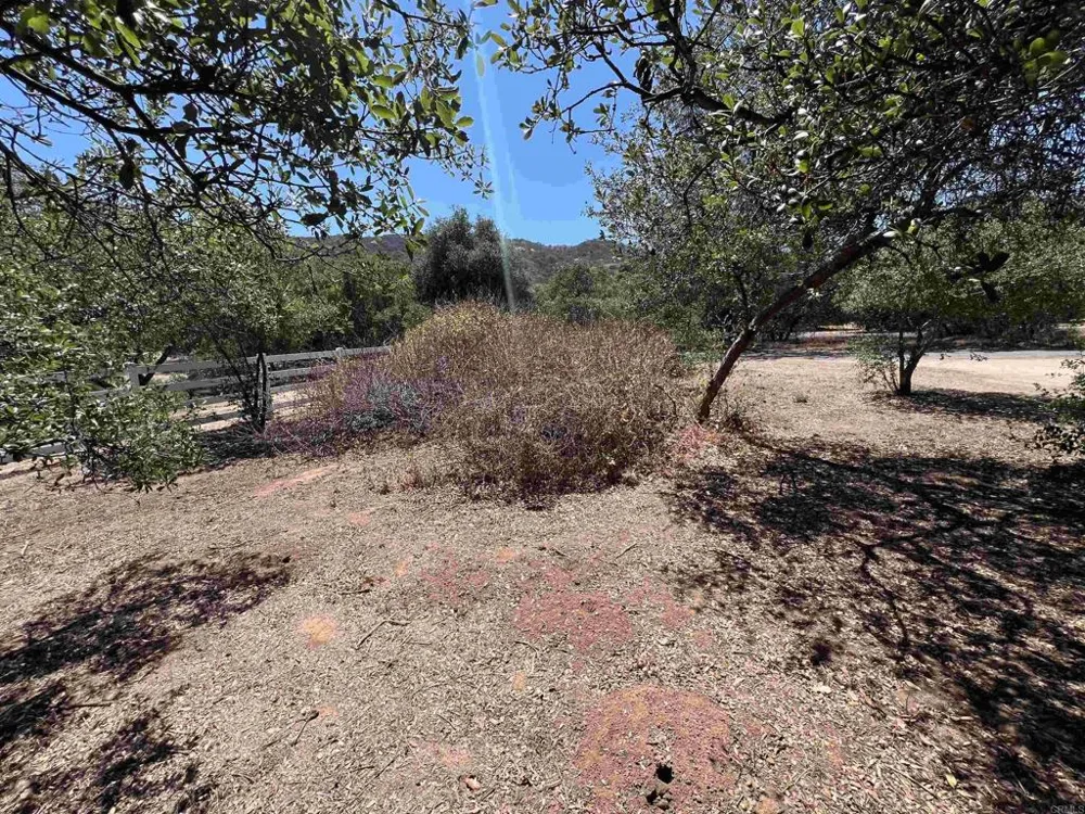 Lyons Valley Road Jamul, CA 91935