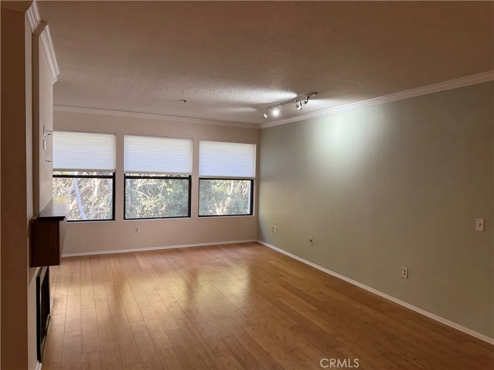 280 Cagney #204 Newport Beach, CA 92663