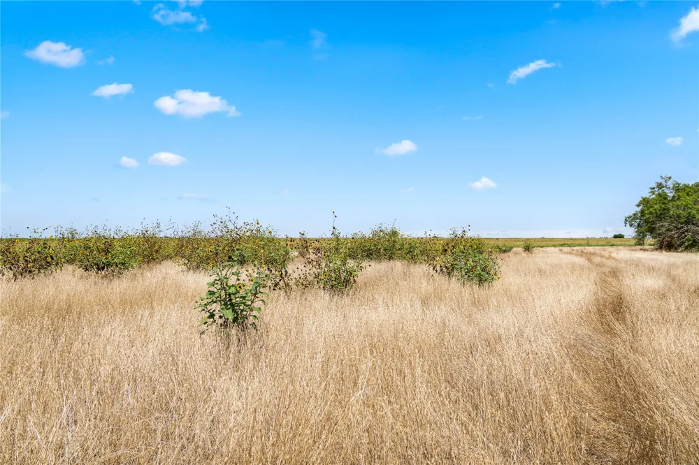 FM 604 ROAD Clyde, TX 79510